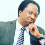 Shehu Sani Raises Alarm Over Terrorism, Questions Source of Weapons