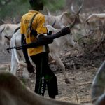 Herders/Farmers Crisis: Herdsmen Undergoing Trial Across Nigeria- Presidency