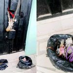 Woman Dumps Snake Charm At The Shop Of Husband’s Mistress