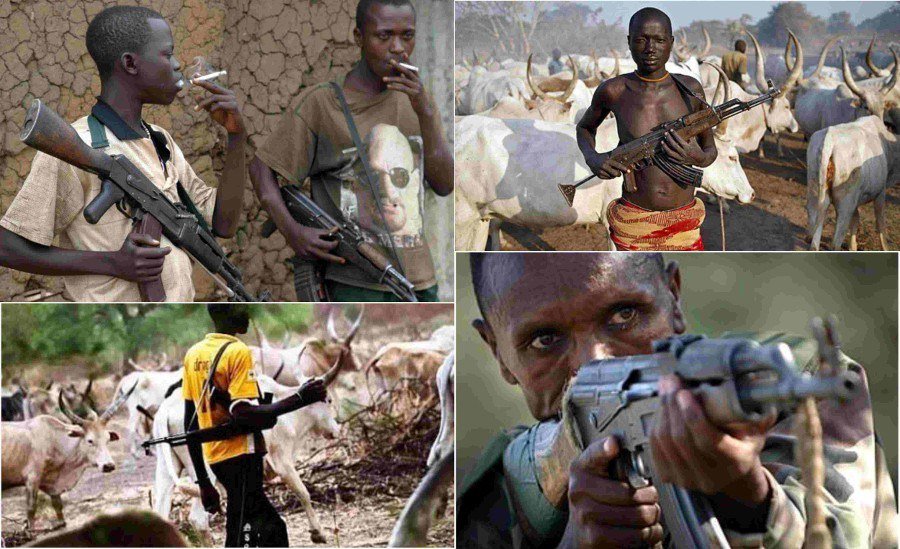 LATEST: Fulani People Out To Capture Nigeria – Prof Akintoye