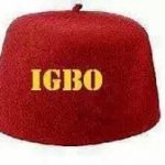 2023 Elections : Northern Elders Back Igbo Presidency