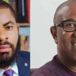 Tribunal May Not Invalidate Peter Obi, VP Shettima For Double Nomination – Adeyanju