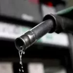 Subsidy Removal: Economist Warns Against Petrol Monopoly