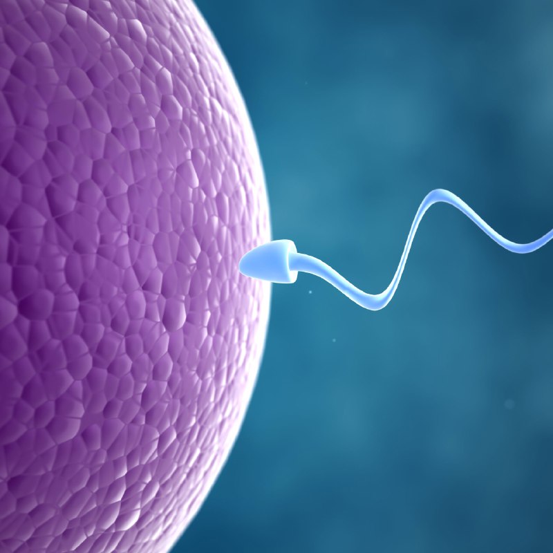 Sperm Count: Men Responsible For 60 Per cent (All You Need To Know)