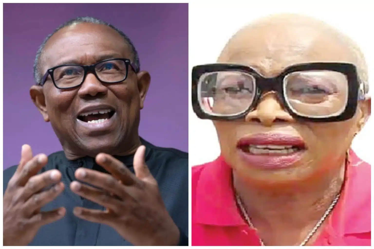 Retired Colonel, Chinyere Obi 'Regrets Joining LP And Selling Properties To Support Peter Obi'