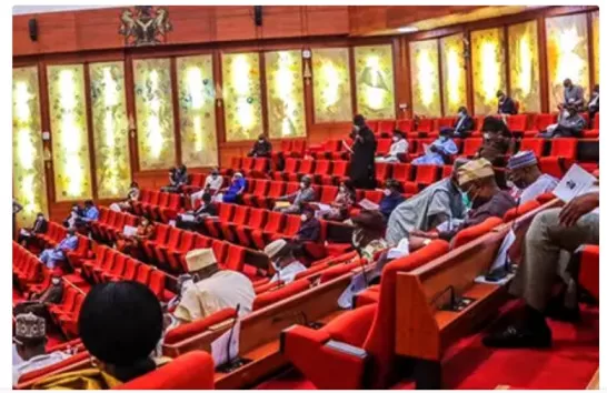 Senate To Investigate Soaring Cement Price in Nigeria