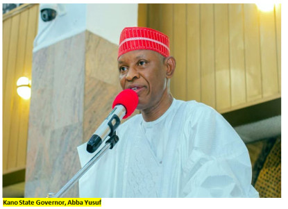 Kano State Governor Urges Doctors to End Strike, Citing Risk to 20 Million Residents